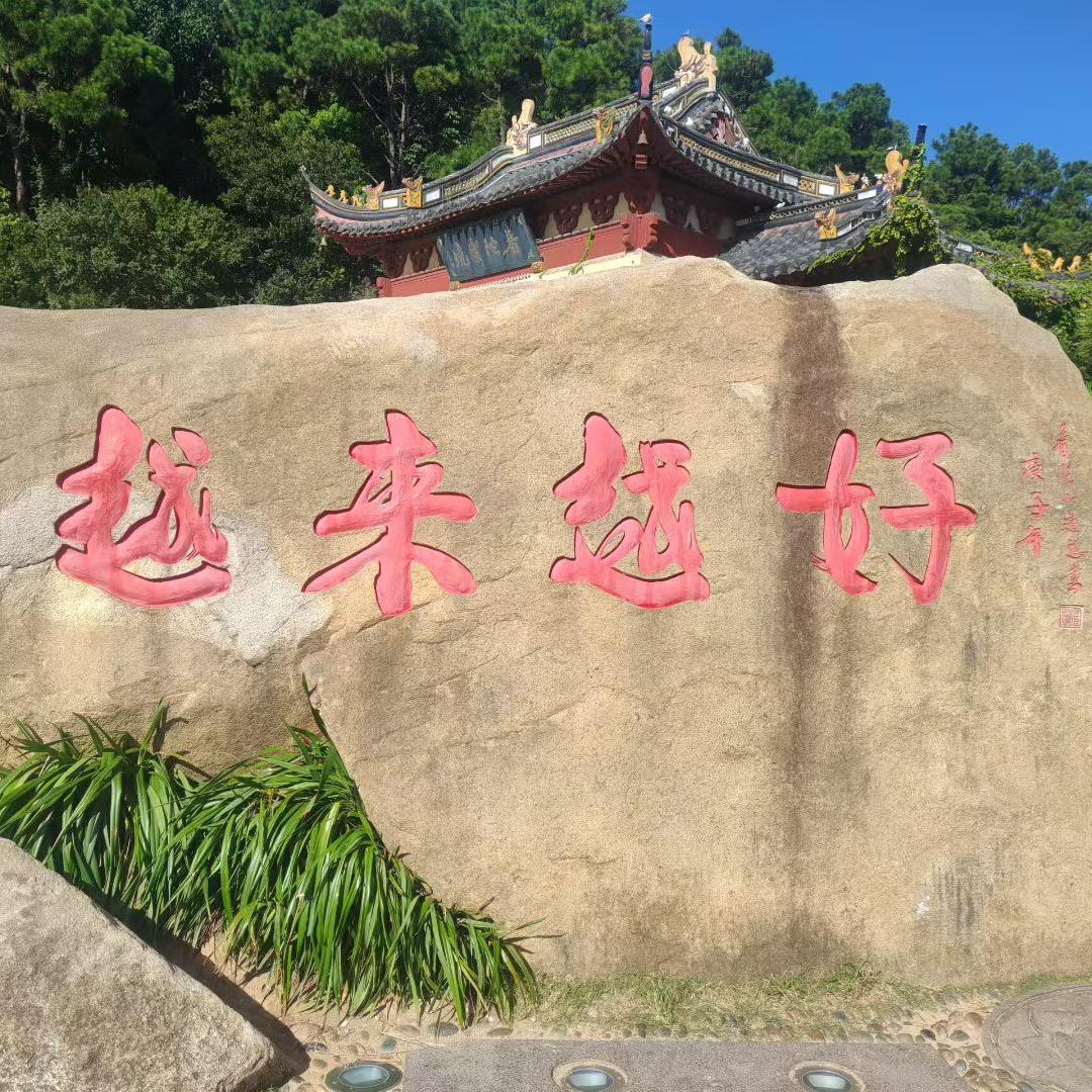 戴新芯