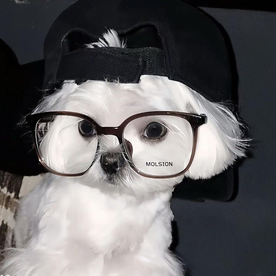 小郑笑嘻嘻