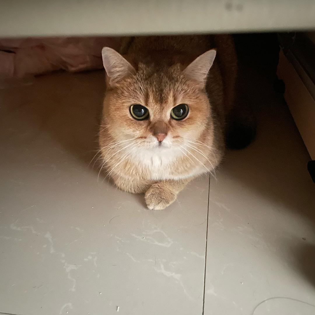 一雀三24h自助棋牌室官方号