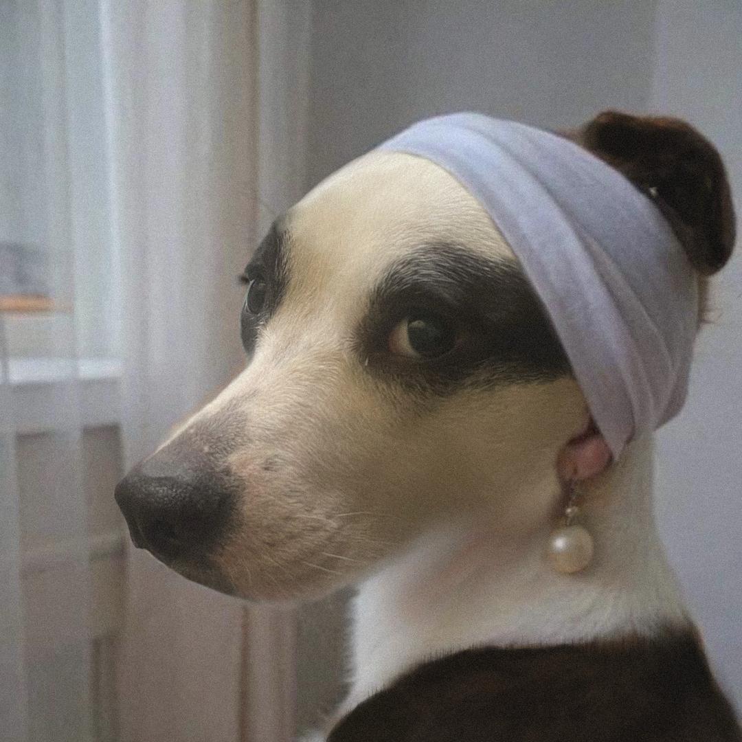 狗妹儿Iggy