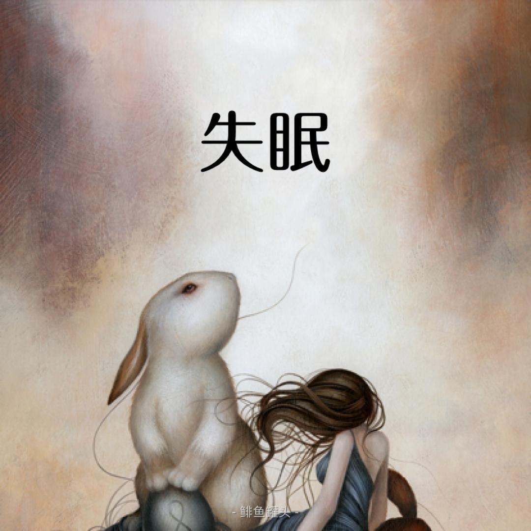 袜子