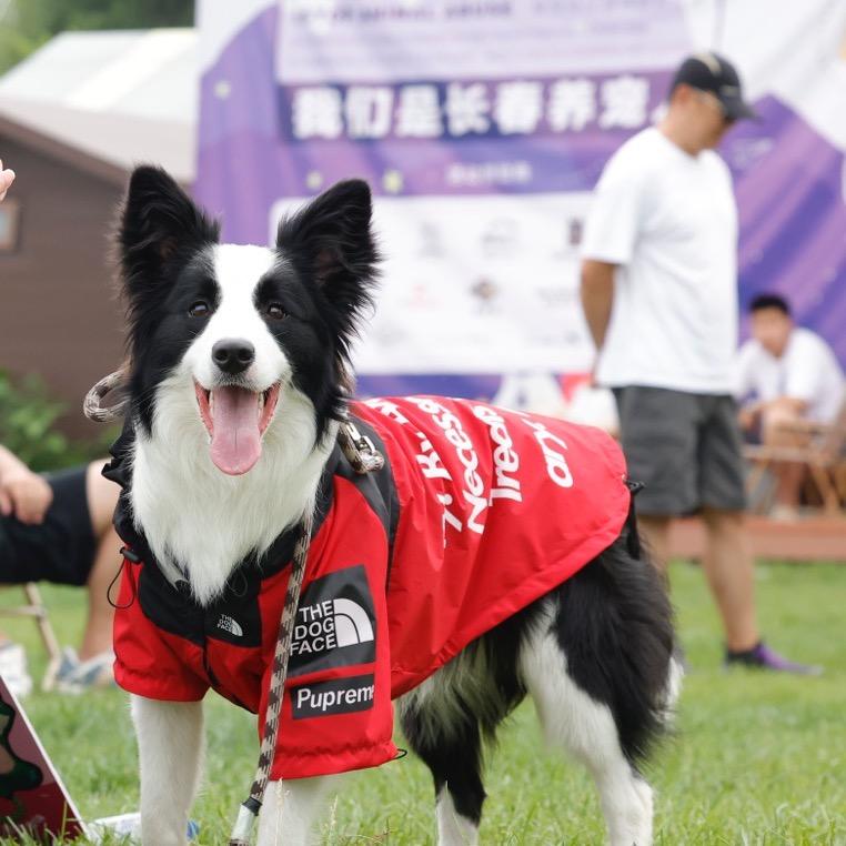 萌新是个萌新