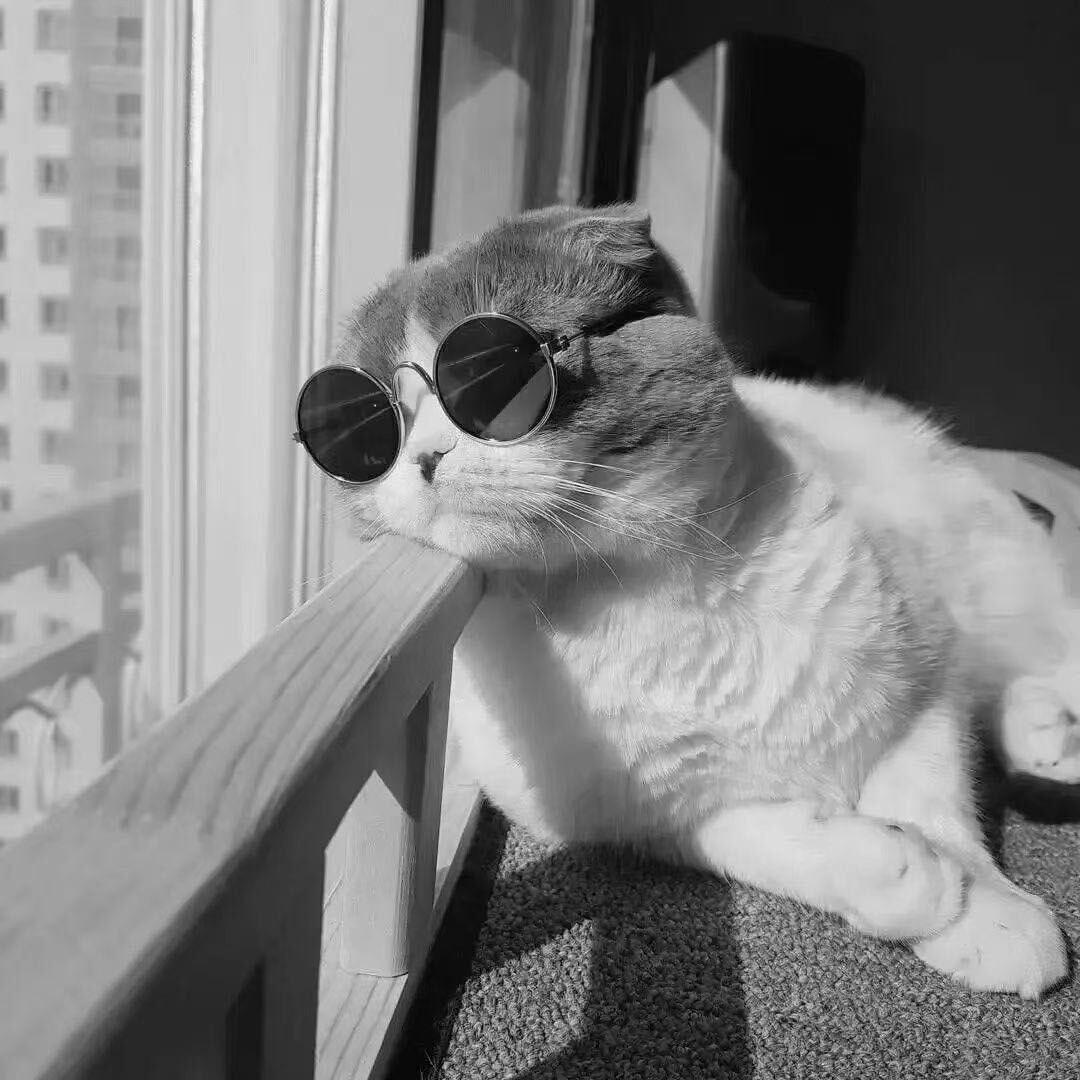 曲靖小彪二手车批发（小保）