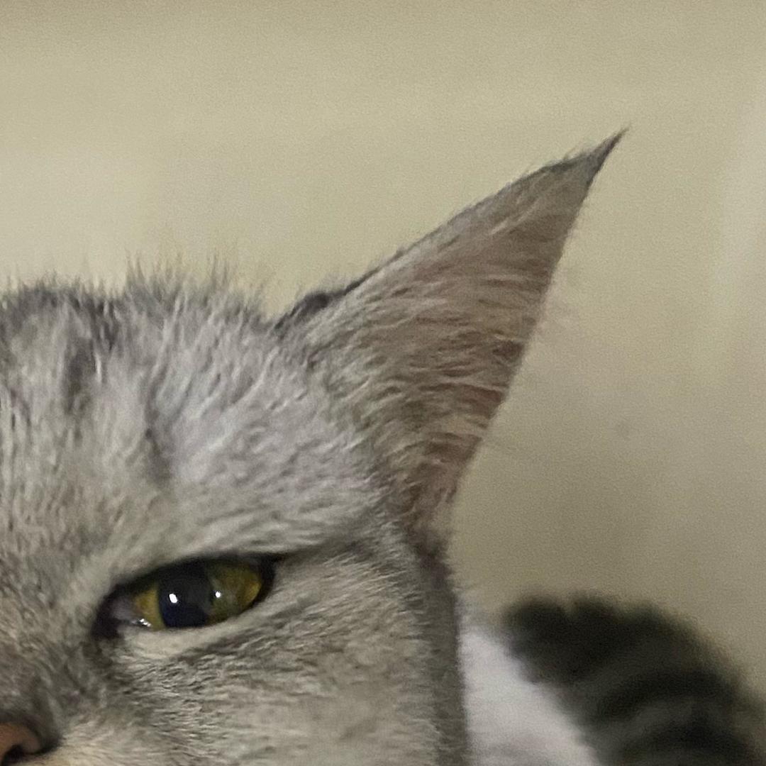 早点睡🧸🐈🐈