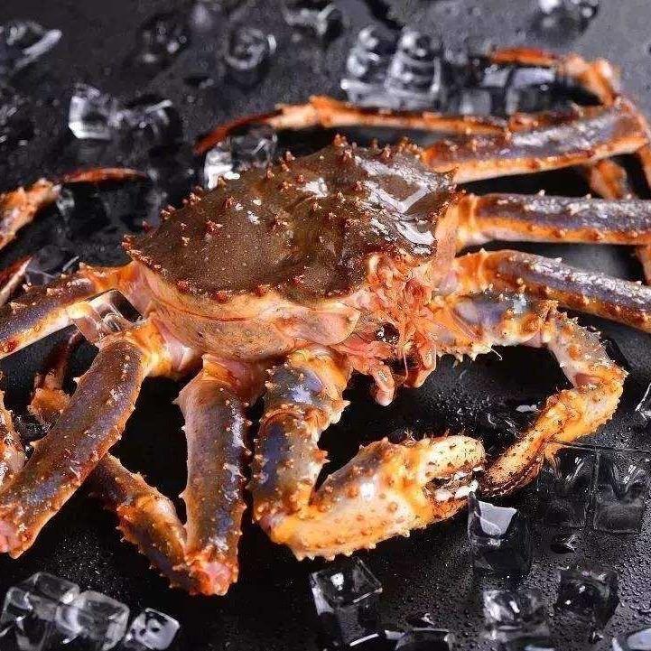 老六精品活海鲜