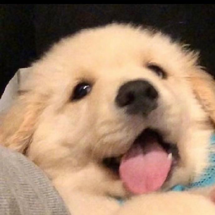 太木