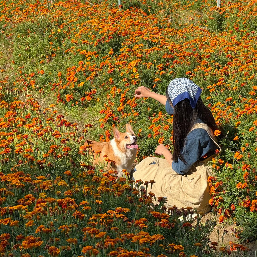 简小橙🍊