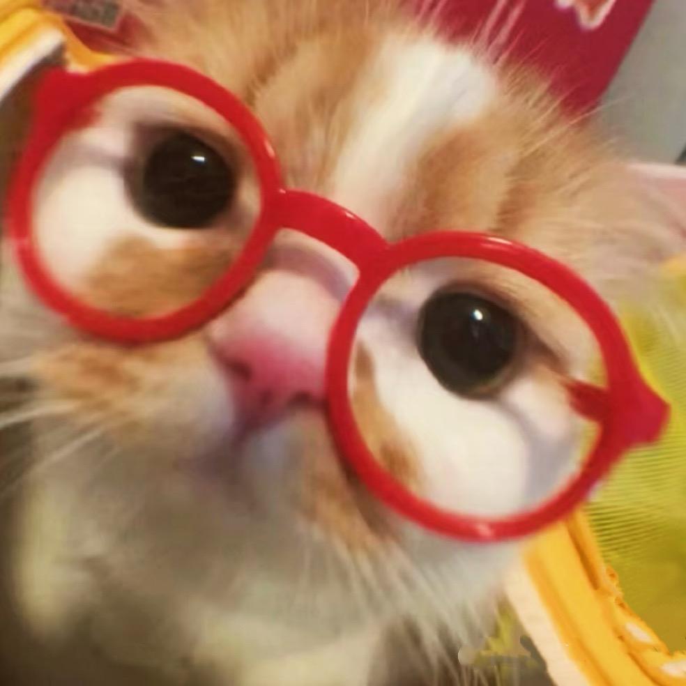 小小飞渔