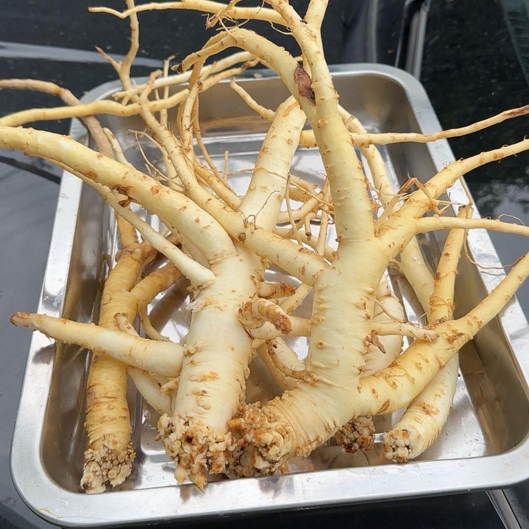 利川小喽啰农产食品严选店