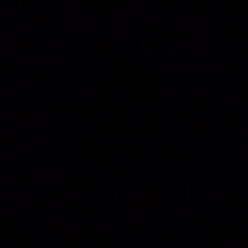 二毛