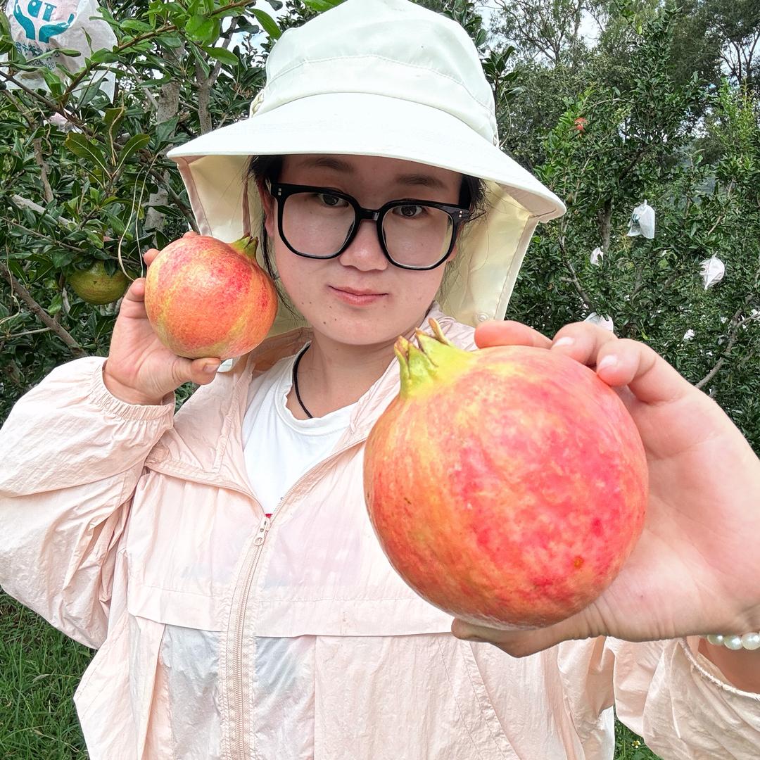 拾穗农家甄选