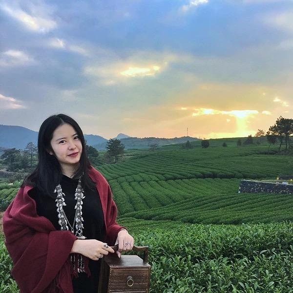 木木家的高山龙井茶