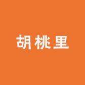 胡桃里服饰