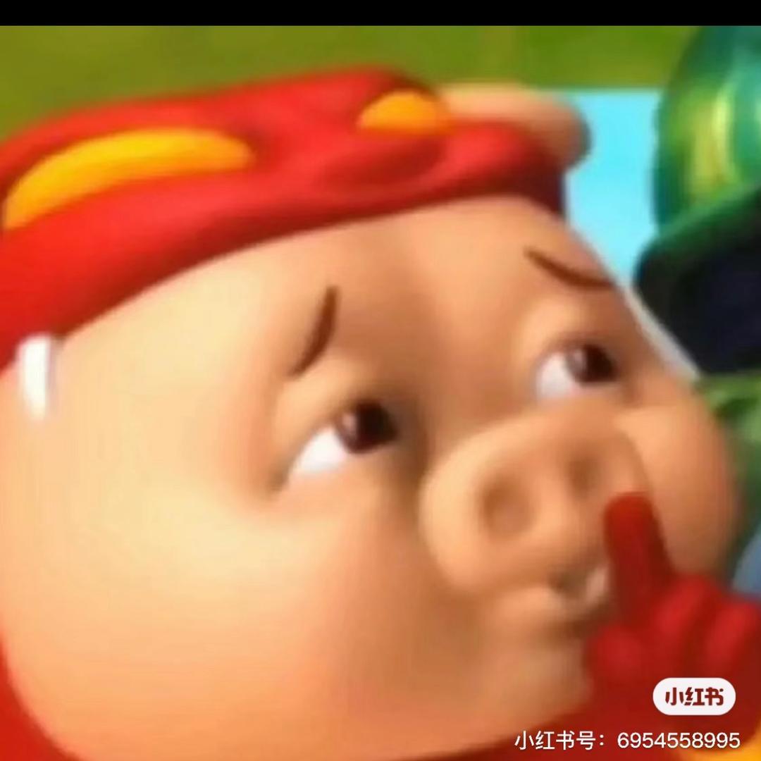 飞翔的火锅粉