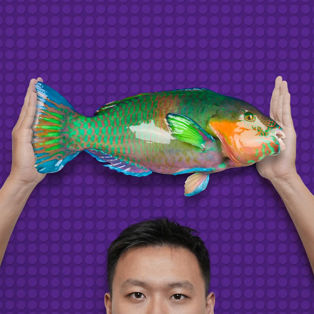 鱼大帅Qi