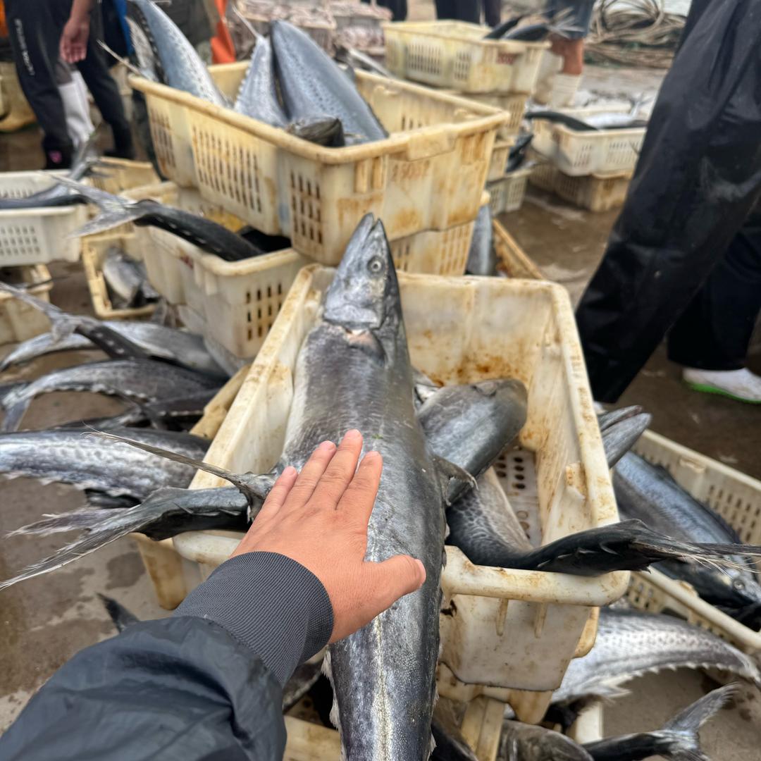 老孙的海味当家
