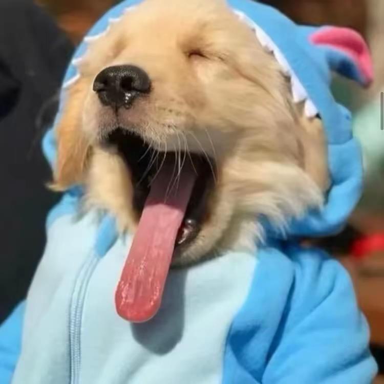 小小超人🫥