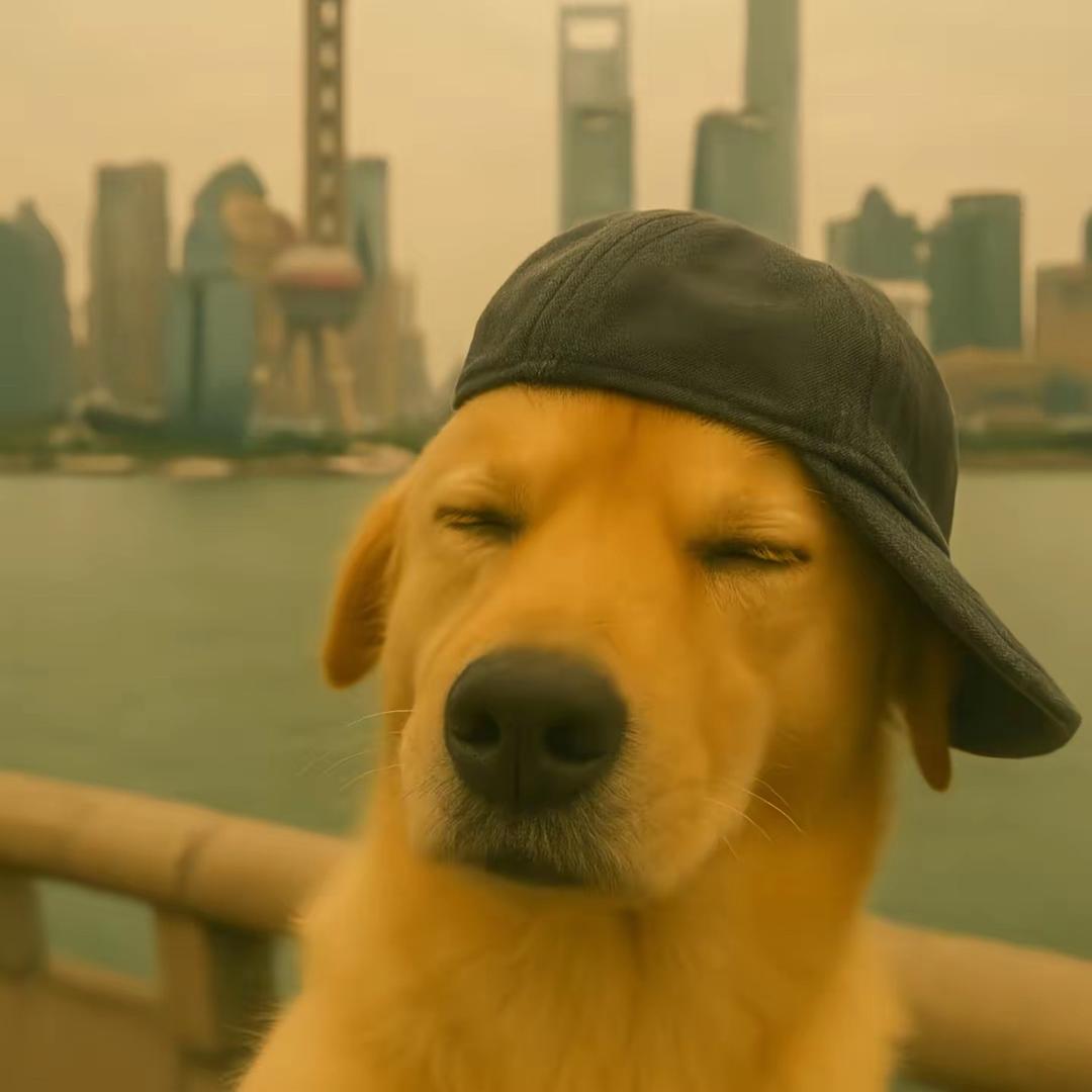 红花男♠️♠️