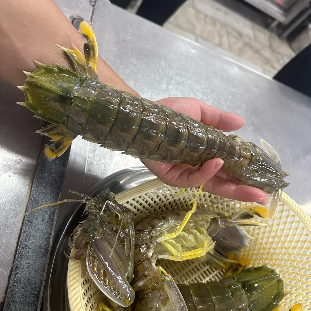 👑👑👑👑👑👑👑👑👑