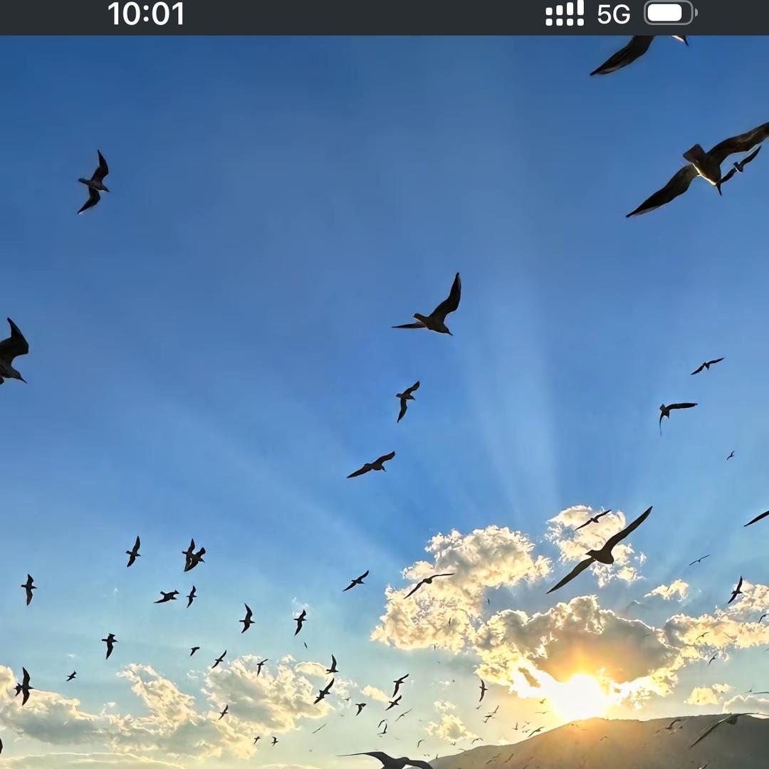 源贺优品