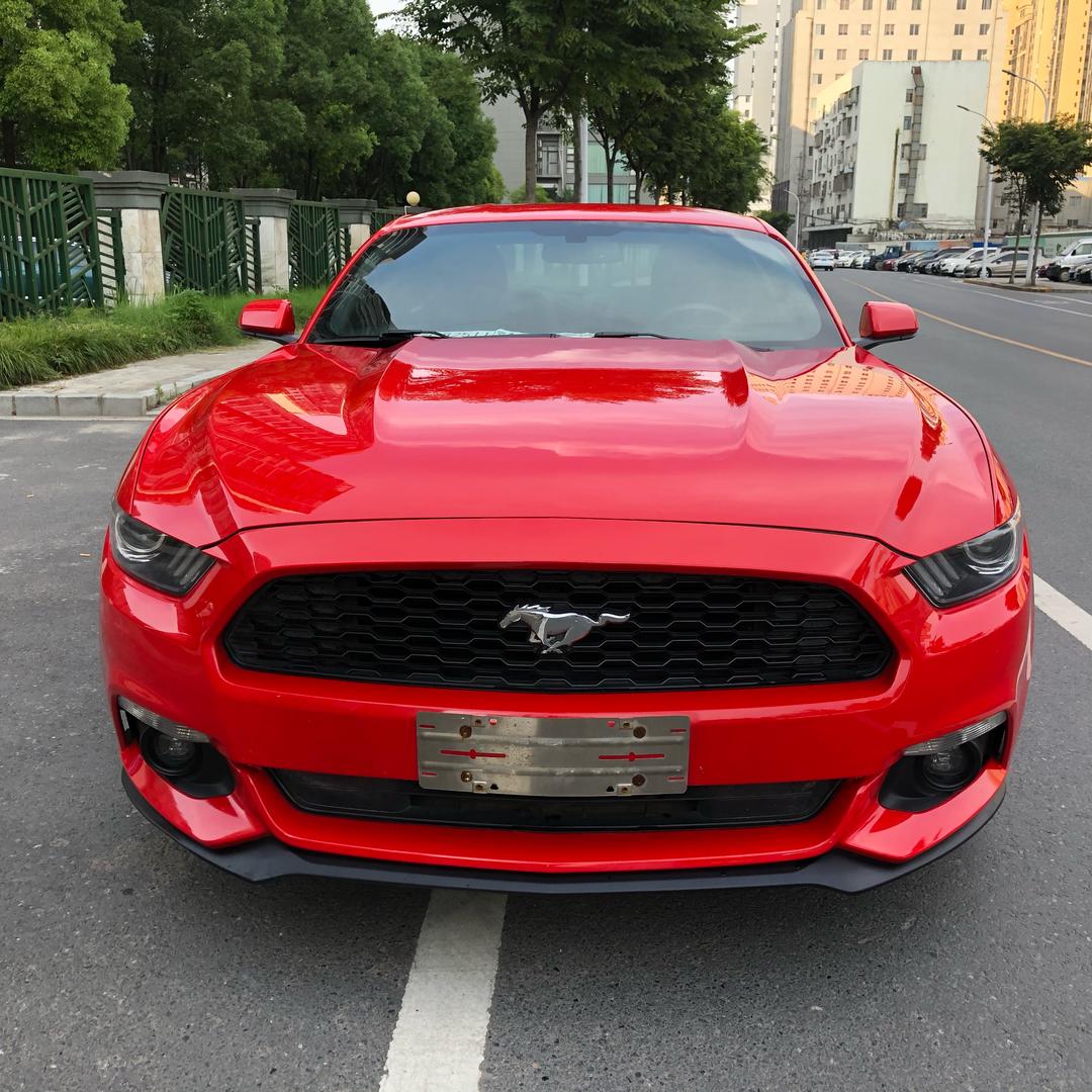 荆州市扬志汽车