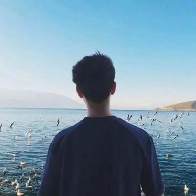 会说话的杨某某