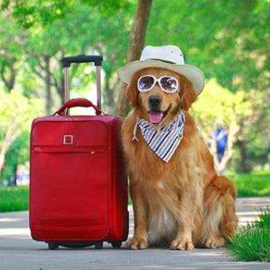 说走就走的旅程