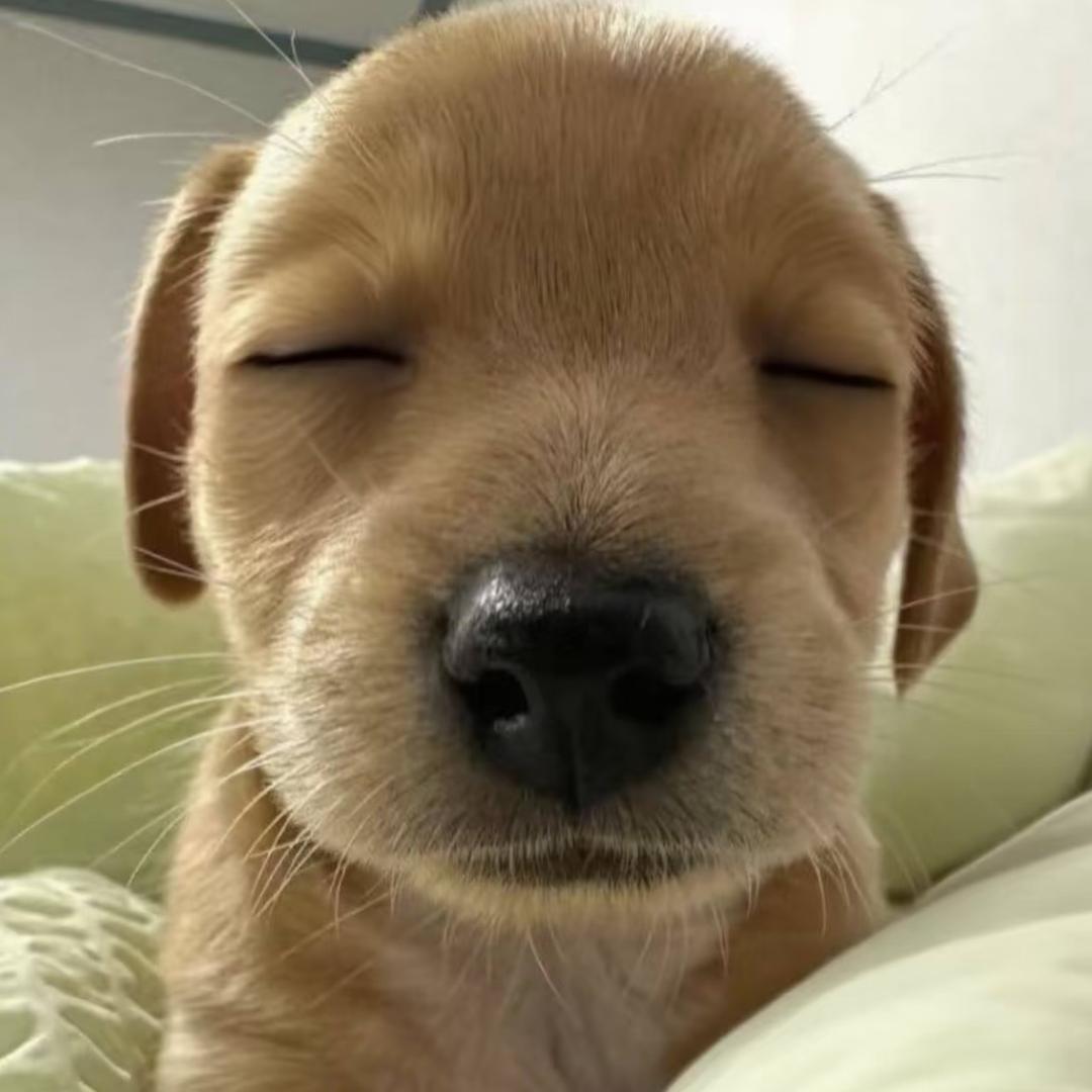 Y._