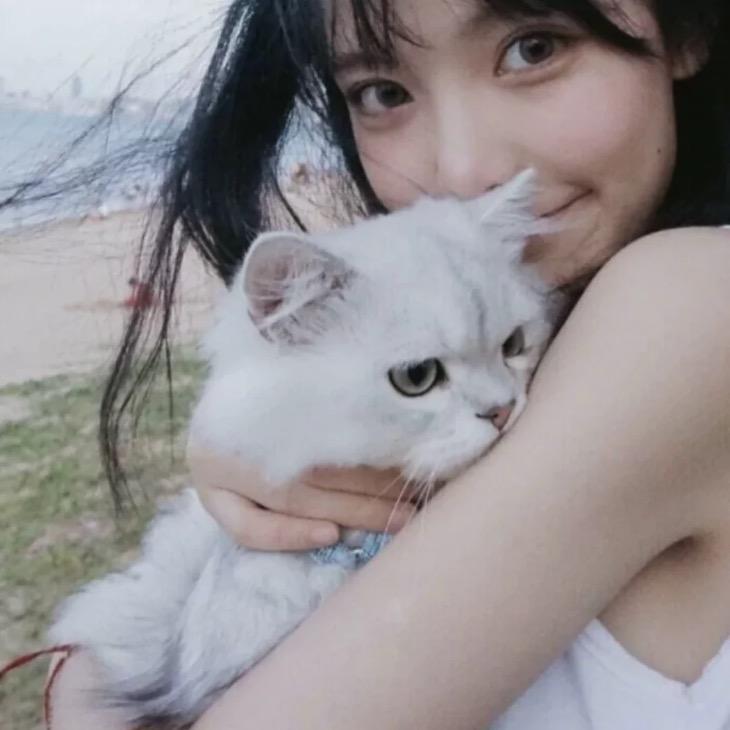 小肥羊。