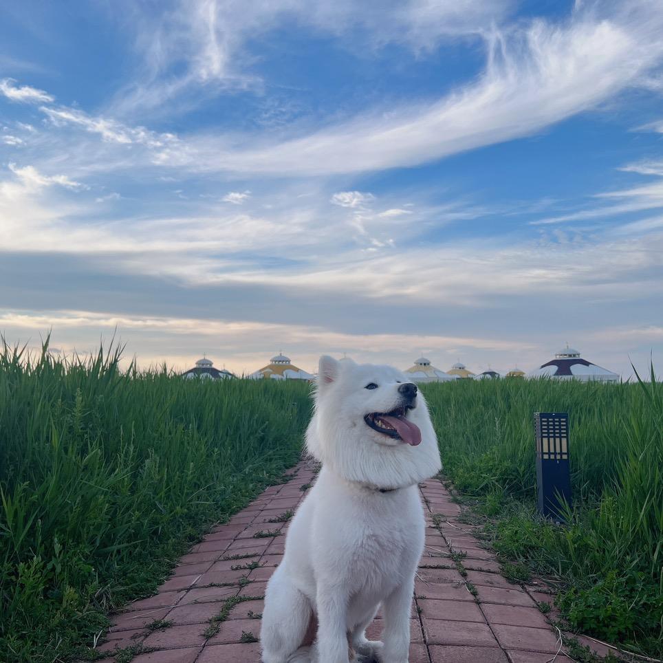 闹闹闹不闹