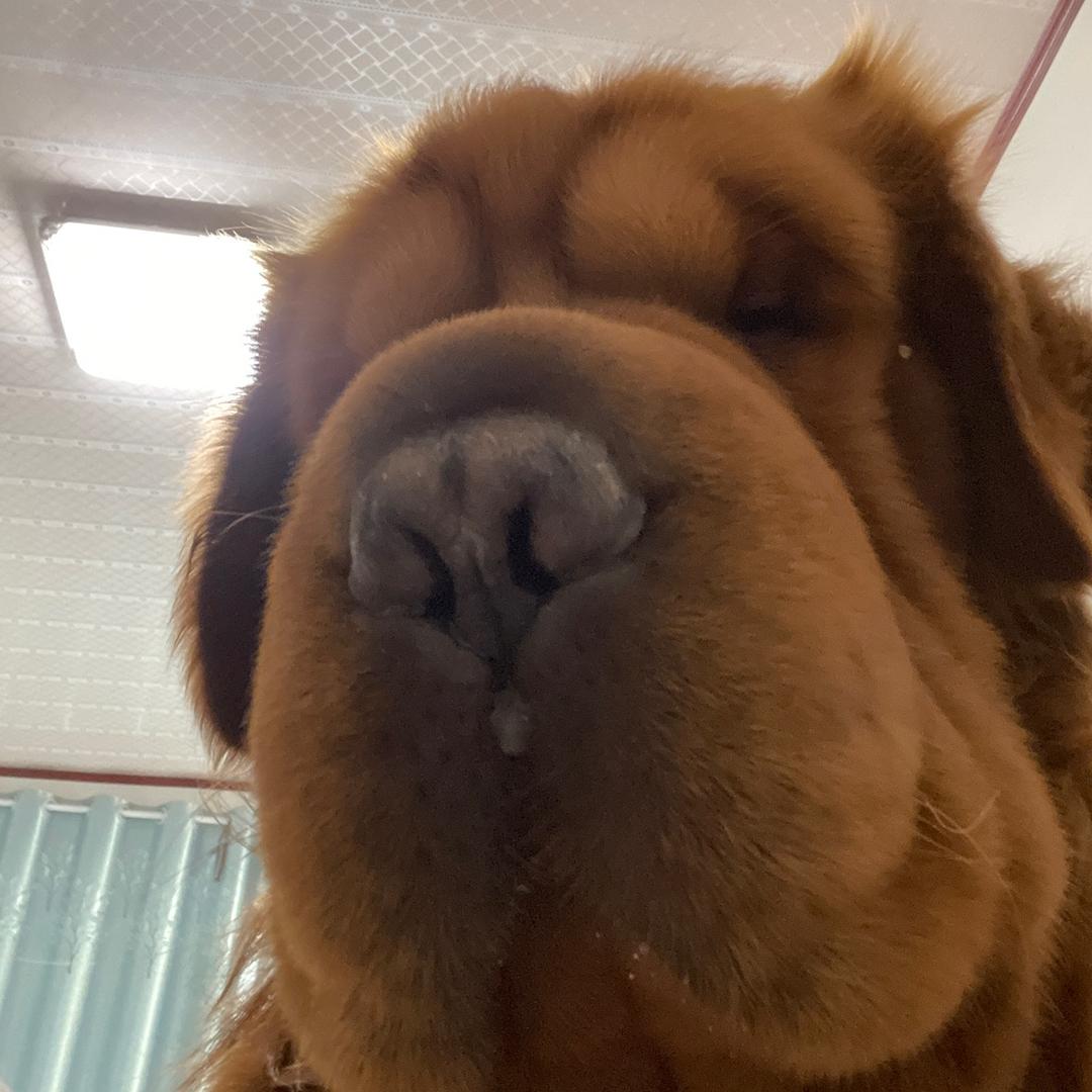 欢欢小可爱～