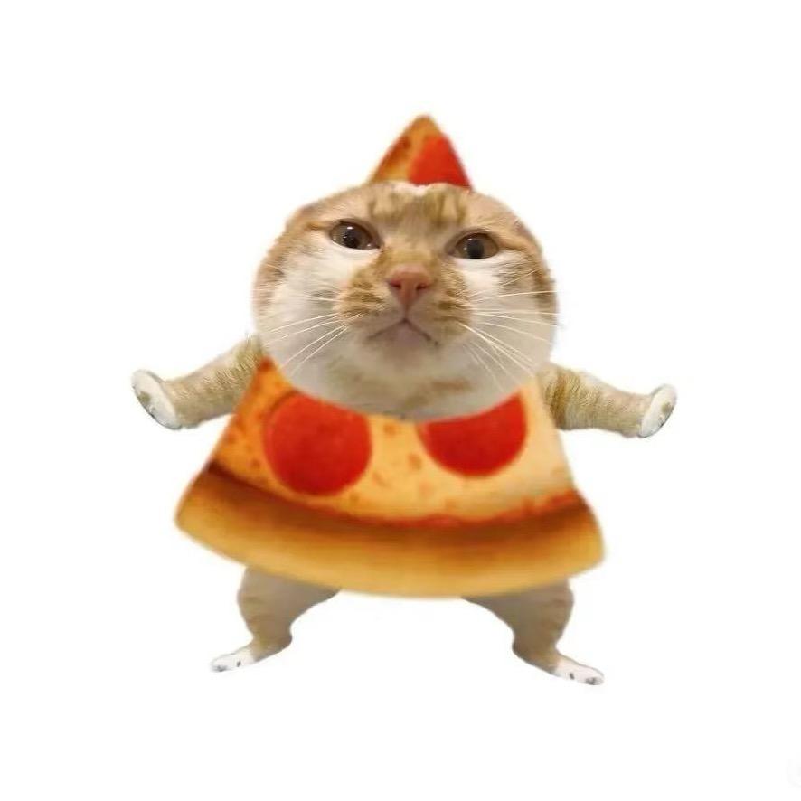 疯狂的茶叶蛋972