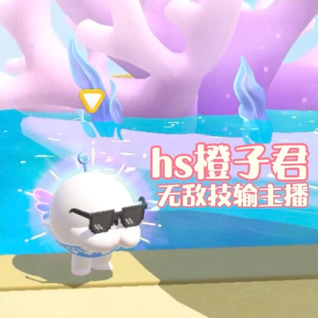 hs橙子君（缓更中）