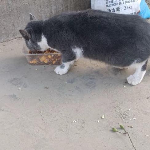 时光里的你