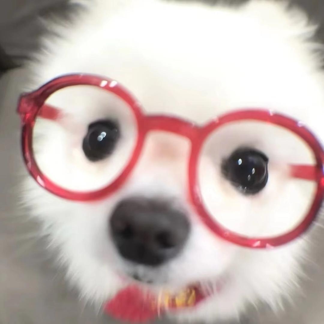深秋.