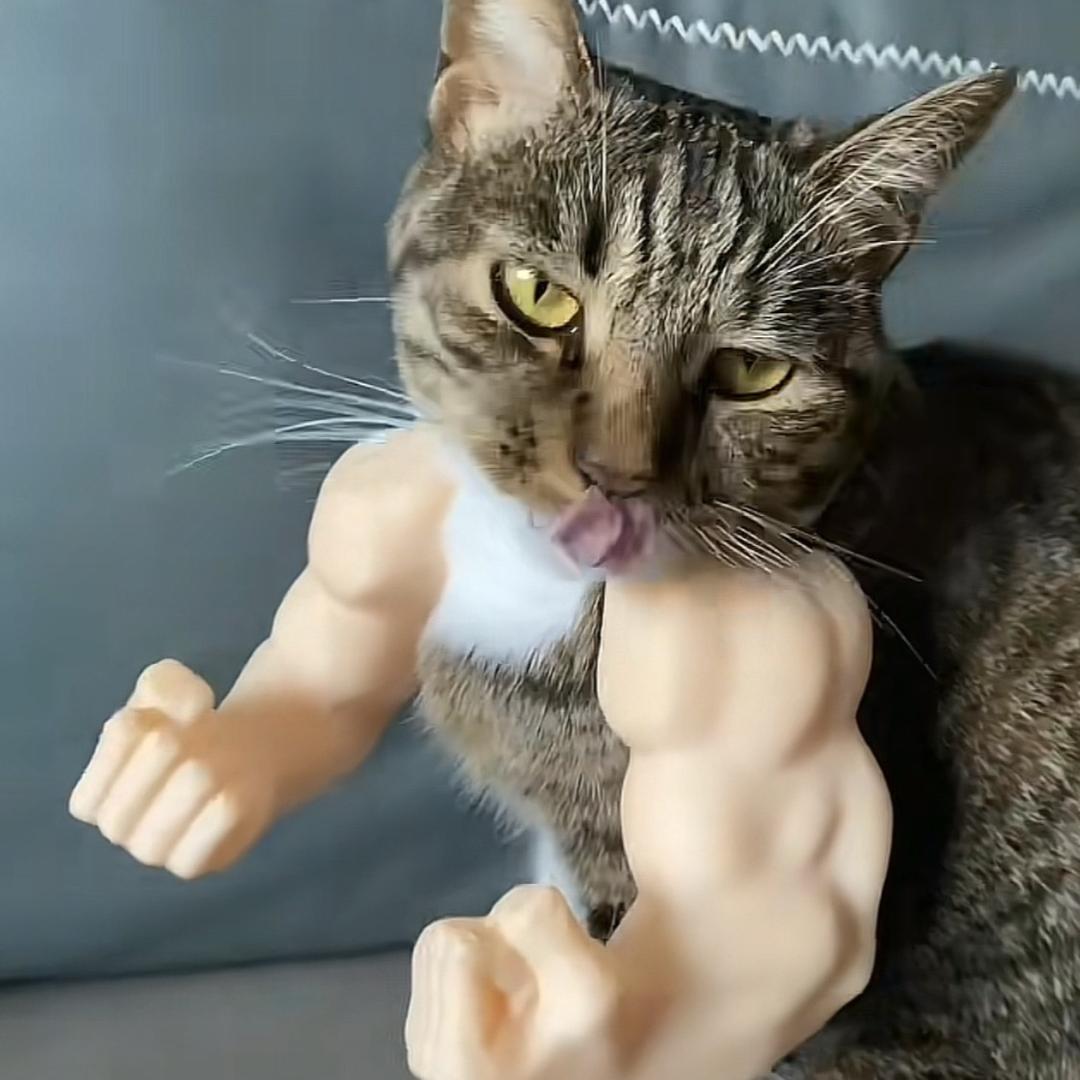 解压玩具所