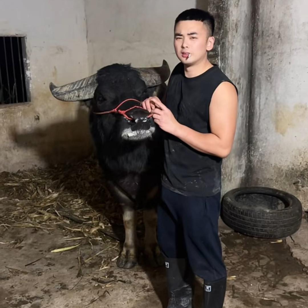 小蒲