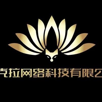 查克拉网络科技