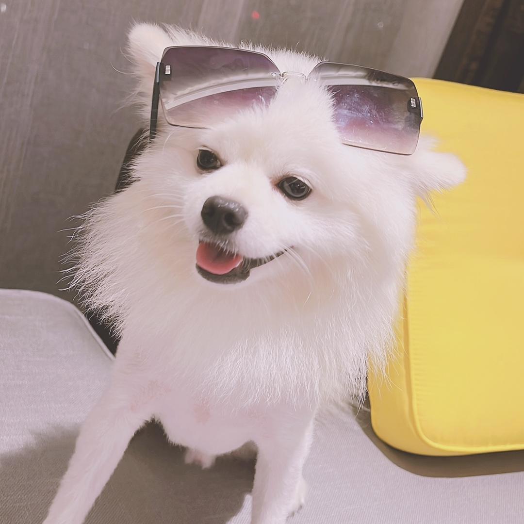 小阿姨