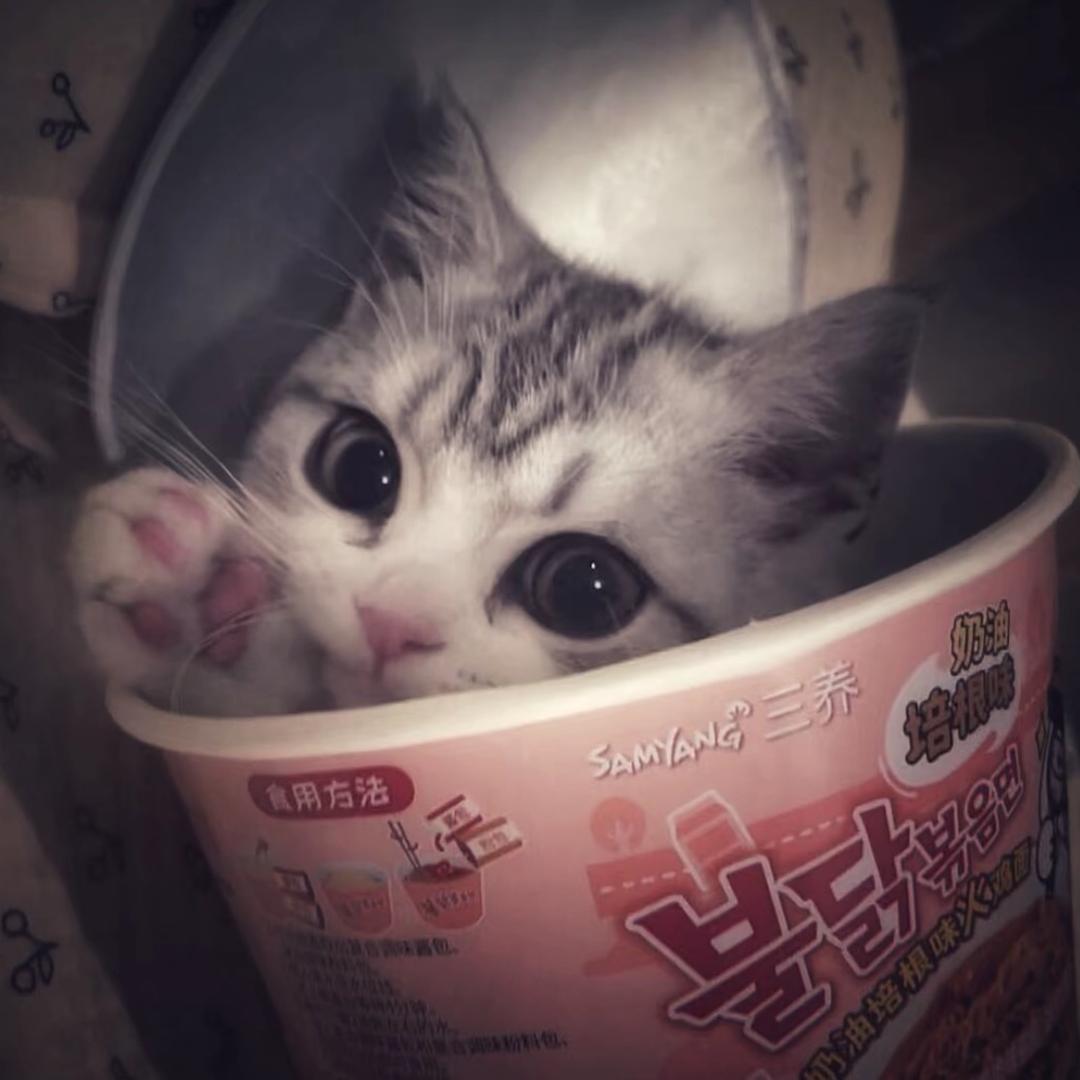 关你西红柿啊、