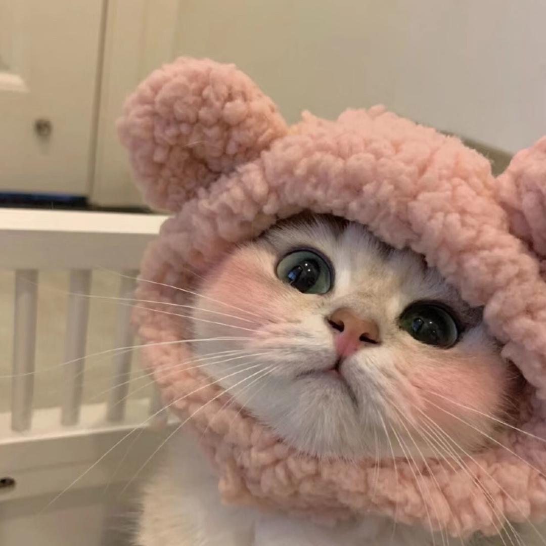 桃桃来了