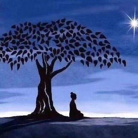 སྐྱེས་Bཨུ།. MVP. 🪽