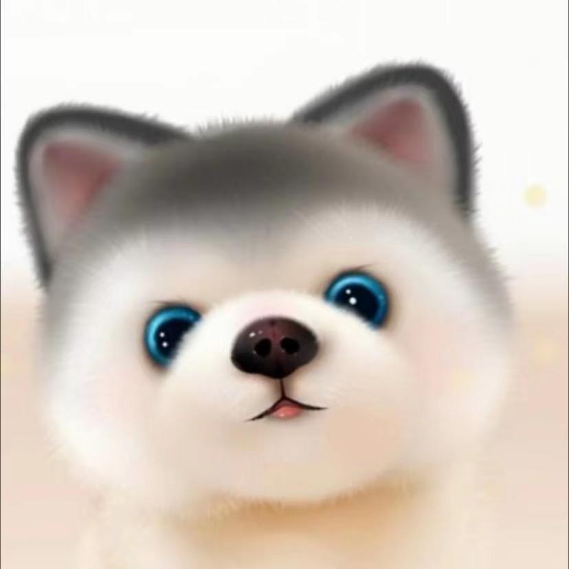 时 光