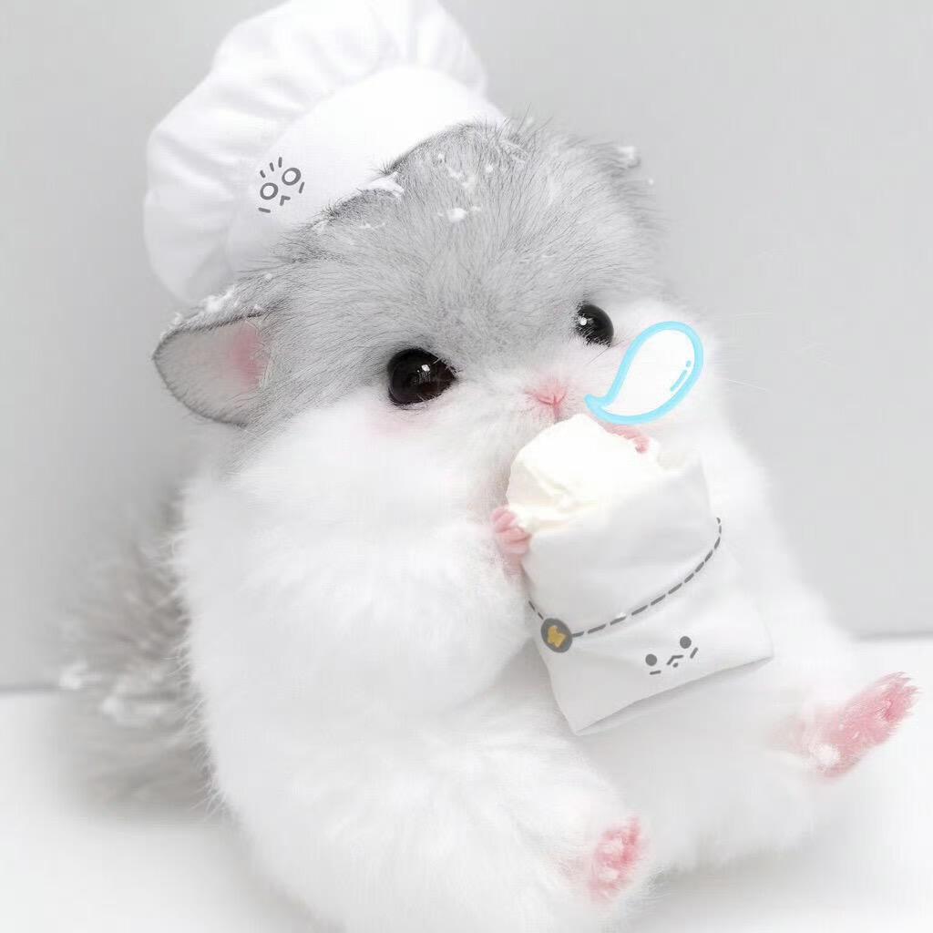 Charlotte ★˖˚
