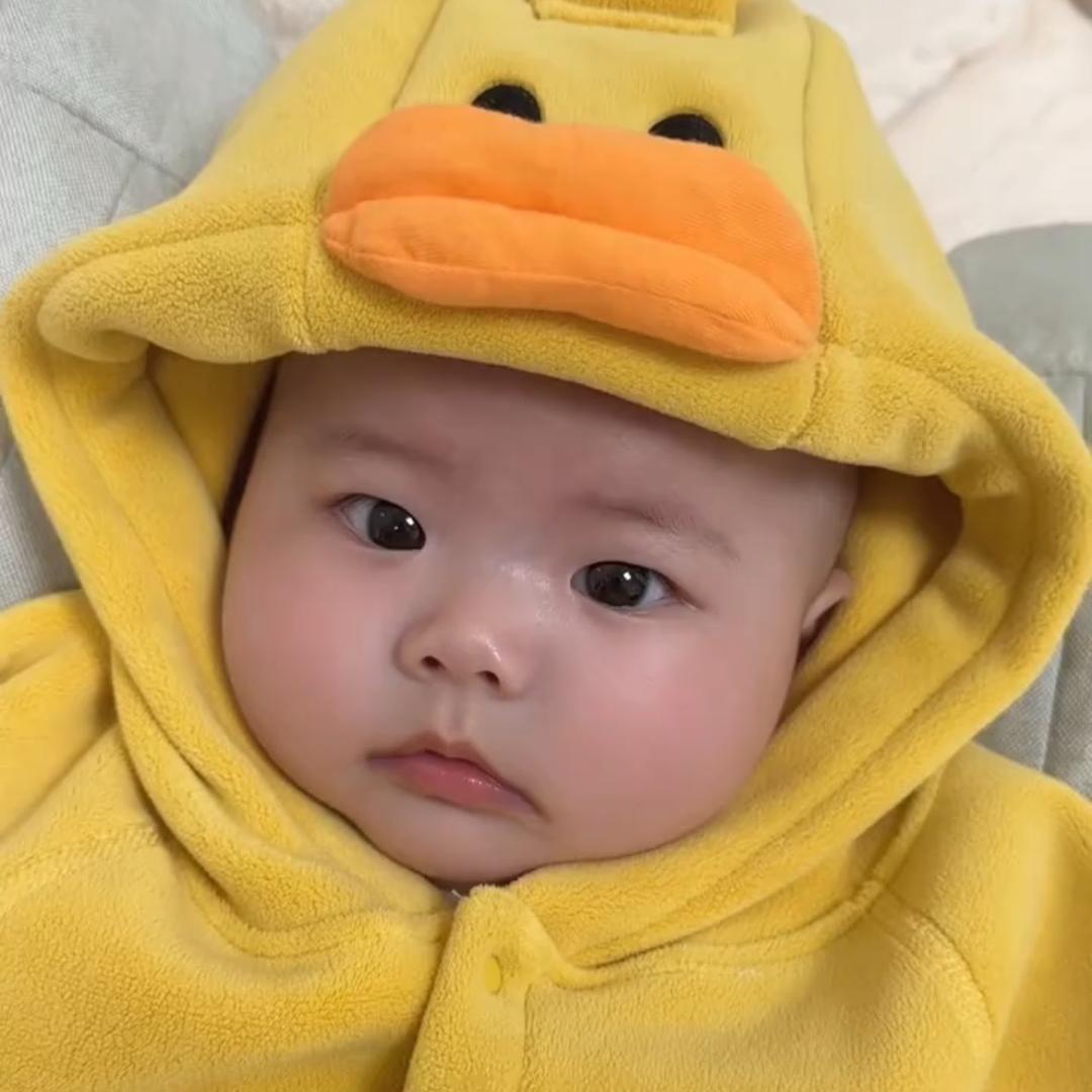 小译日记