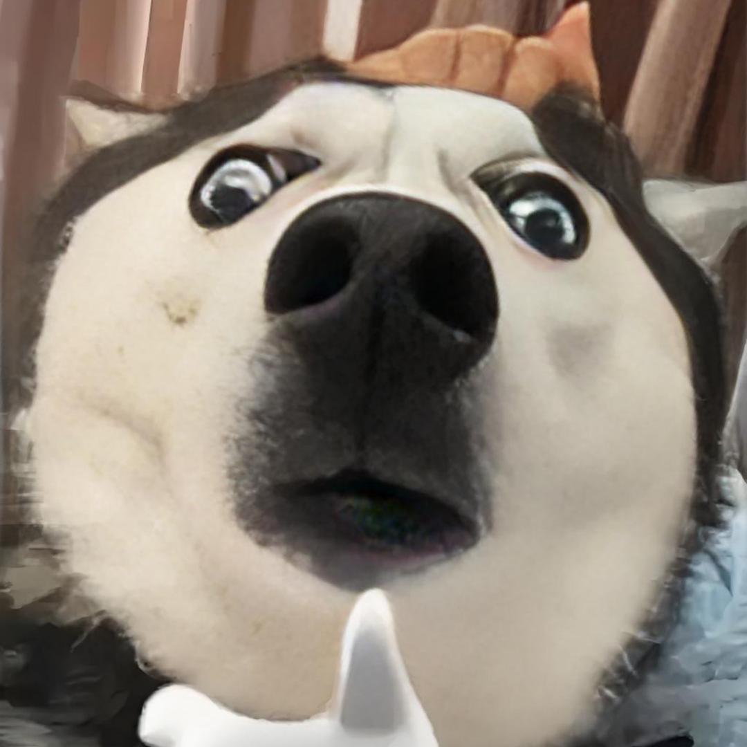 还有高手？
