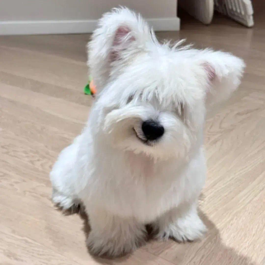麻倒一片