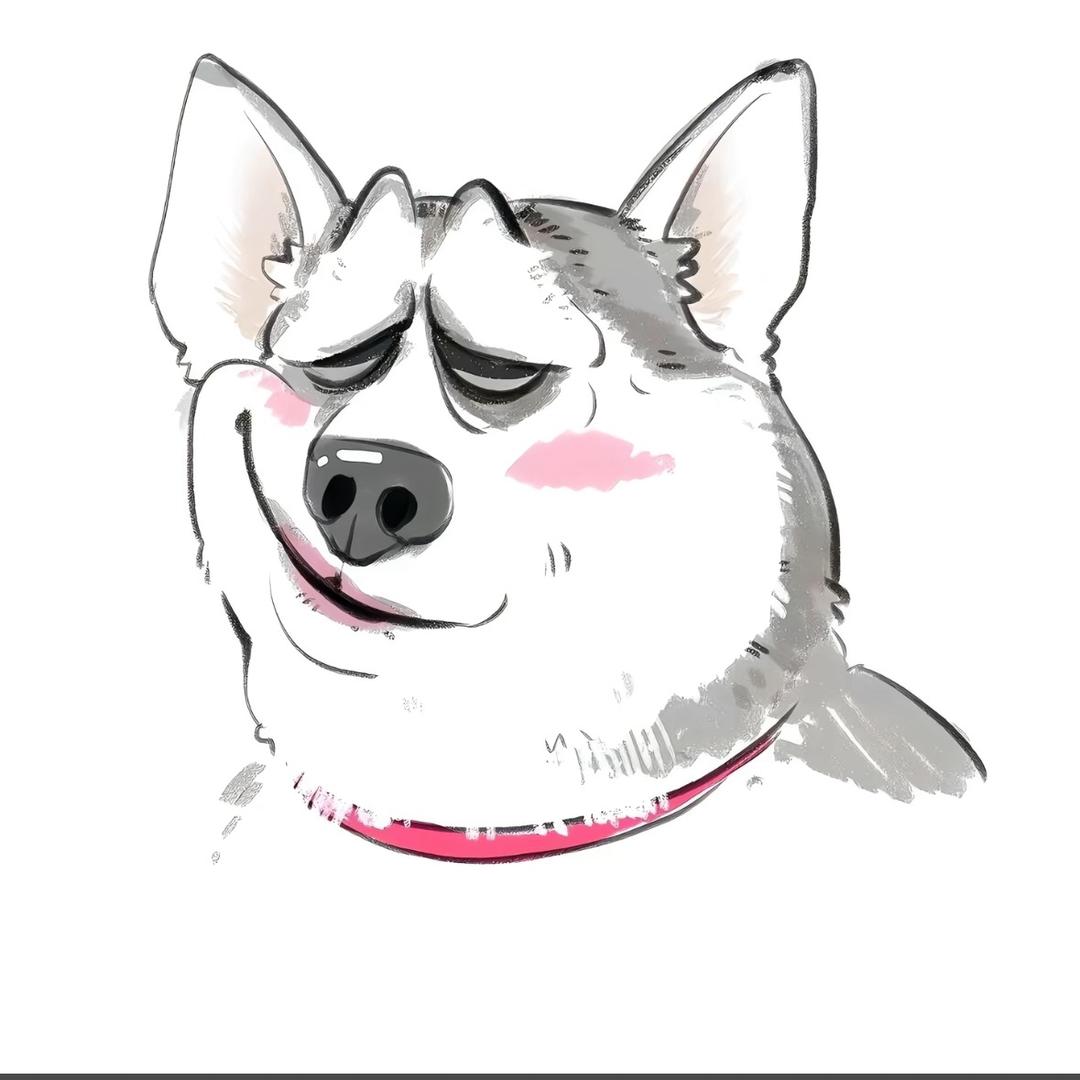 海拉尔乌尔苏贴膜改装工作室