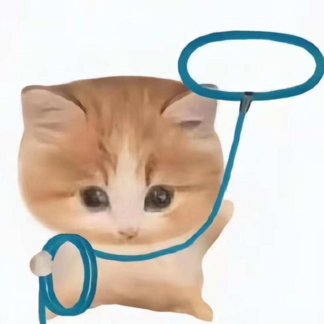 雾灯N