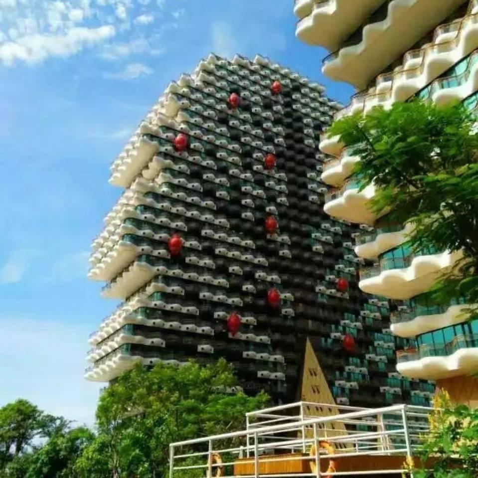 小白姐